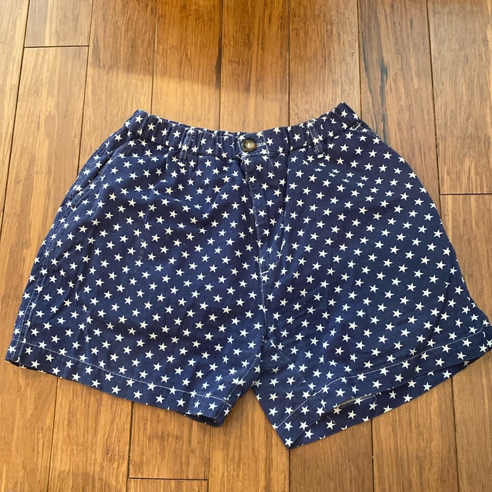 Chubbies stars polkadot shorts